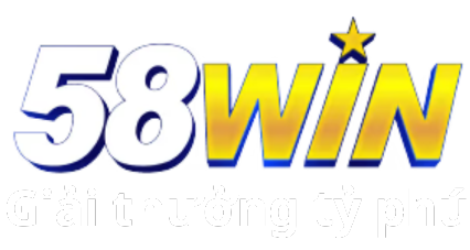 58wiinstore